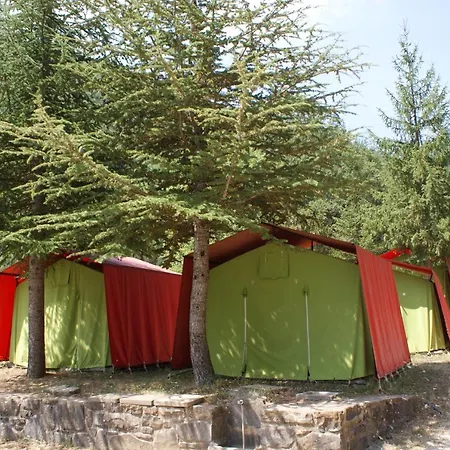 Parque de Campismo El Chate Tiendas