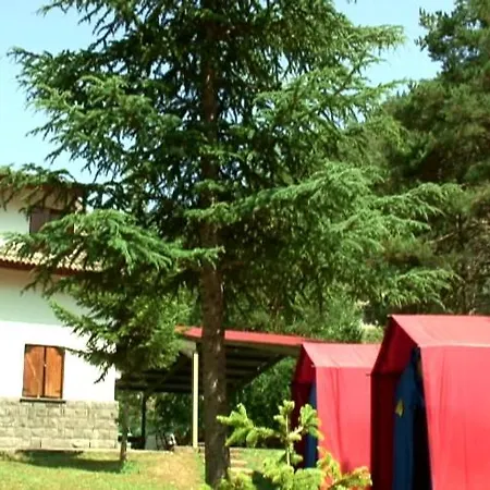 Kamp alanı El Chate Tiendas *