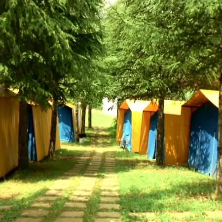 El Chate Tiendas Kamp alanı Sarvisé